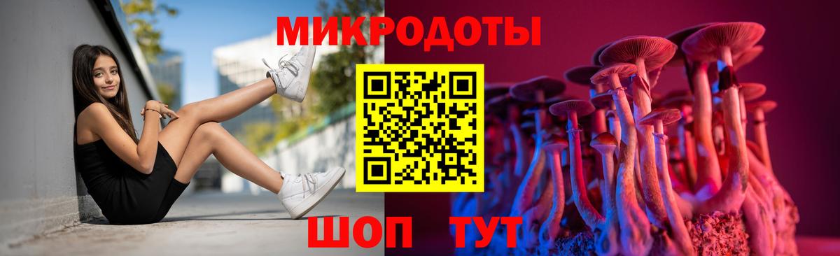 Дмитров  Галлюциногенные грибы Psilocybine cubensis  Вход с VPN 